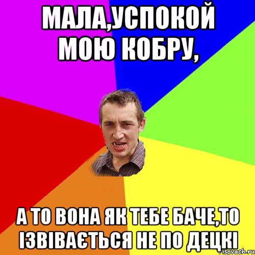 Мала,успокой мою кобру, а то вона як тебе баче,то ізвівається не по децкі, Мем Чоткий паца