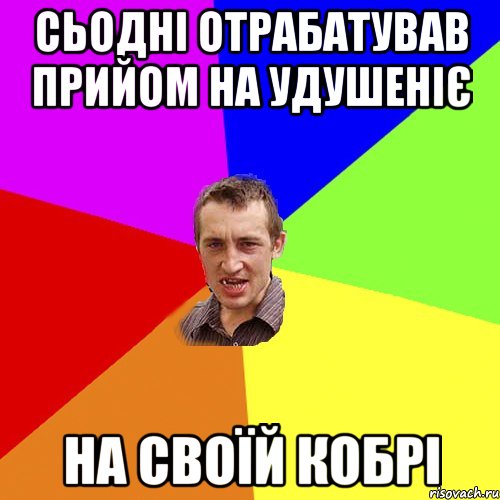 сьодні отрабатував прийом на удушеніє на своїй кобрі, Мем Чоткий паца