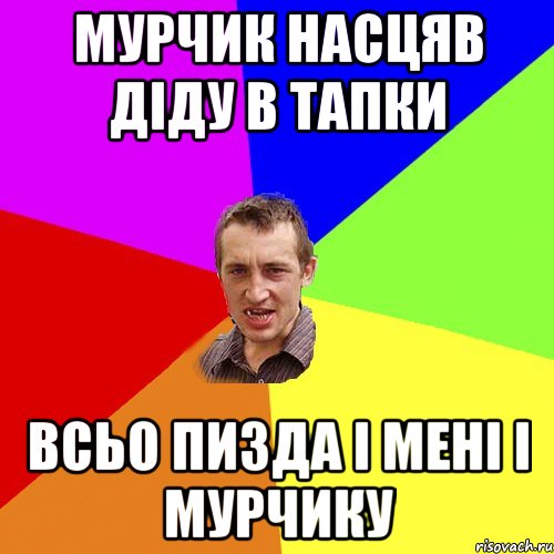 Мурчик насцяв діду в тапки Всьо пизда і мені і мурчику, Мем Чоткий паца