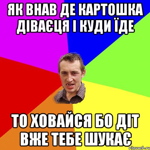 як внав де картошка діваєця і куди їде то ховайся бо діт вже тебе шукає, Мем Чоткий паца