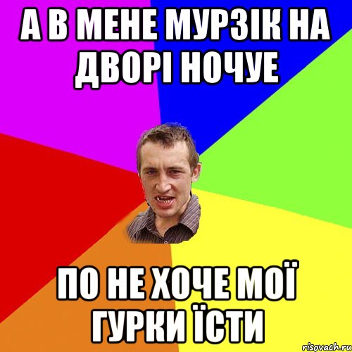 а в мене мурзік на дворі ночуе по не хоче мої гурки їсти, Мем Чоткий паца