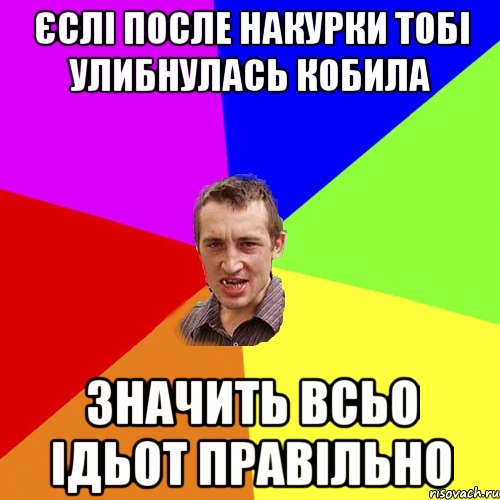 Єслі после накурки тобі улибнулась кобила значить всьо ідьот правільно, Мем Чоткий паца