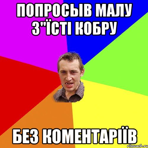 Попросыв малу з"їсті кобру БЕЗ КОМЕНТАРІЇВ, Мем Чоткий паца