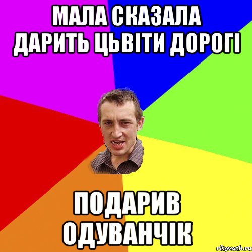 Мала сказала дарить цьвіти дорогі Подарив одуванчік, Мем Чоткий паца