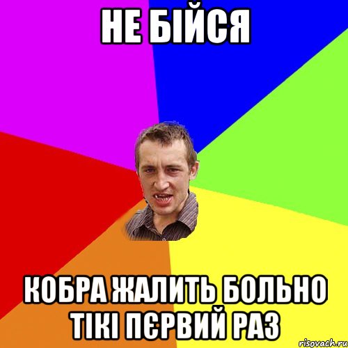 Не бійся Кобра жалить больно тікі пєрвий раз, Мем Чоткий паца