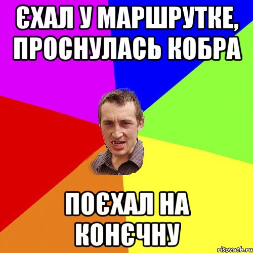 Єхал у маршрутке, проснулась кобра поєхал на конєчну, Мем Чоткий паца