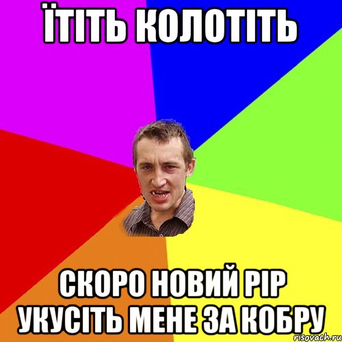 їтіть колотіть скоро новий рір укусіть мене за кобру, Мем Чоткий паца