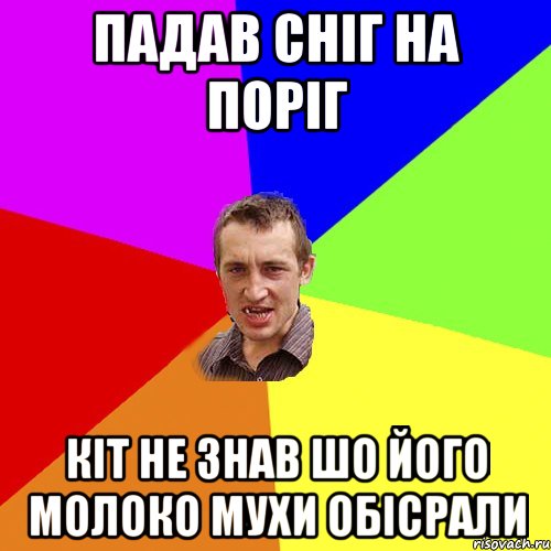 Падав сніг на поріг Кіт не знав шо його молоко мухи обісрали, Мем Чоткий паца