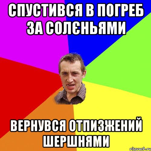 спустився в погреб за солєньями вернувся отпизжений шершнями, Мем Чоткий паца