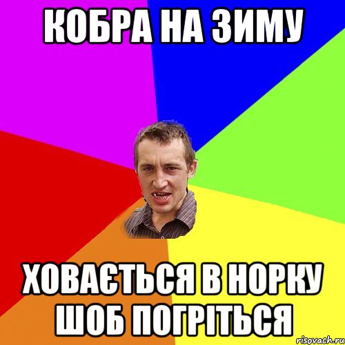 кобра на зиму ховається в норку шоб погріться, Мем Чоткий паца