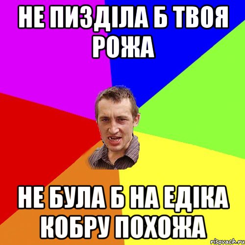 не пизділа б твоя рожа не була б на едіка кобру похожа, Мем Чоткий паца