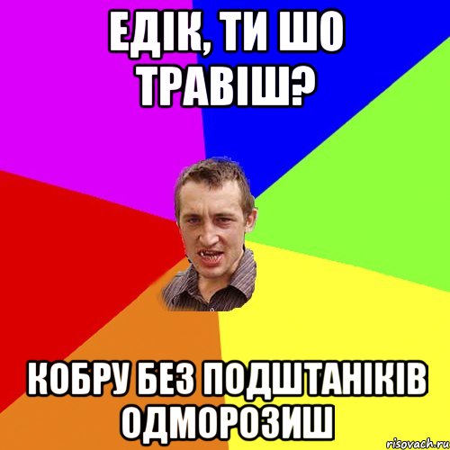 Едік, ти шо травіш? кобру без подштаніків одморозиш, Мем Чоткий паца