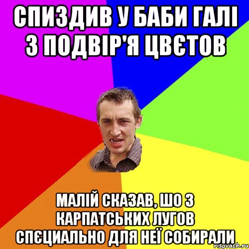 спиздив у баби галі з подвір'я цвєтов малій сказав, шо з карпатських лугов спєциально для неї собирали, Мем Чоткий паца