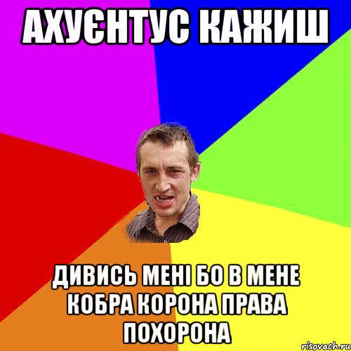 Ахуєнтус кажиш дивись мені бо в мене кобра корона права похорона, Мем Чоткий паца