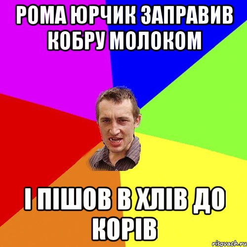 РОМА ЮРЧИК ЗАПРАВИВ КОБРУ МОЛОКОМ І ПІШОВ В ХЛІВ ДО КОРІВ, Мем Чоткий паца