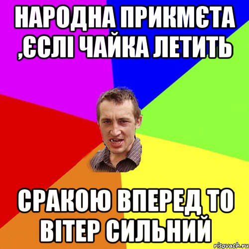 Народна прикмєта ,єслі чайка летить сракою вперед то вітер сильний, Мем Чоткий паца