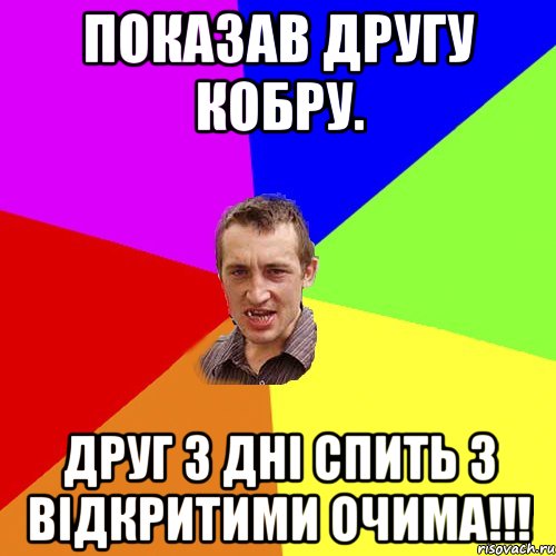 Показав другу кобру. Друг 3 дні спить з відкритими очима!!!, Мем Чоткий паца