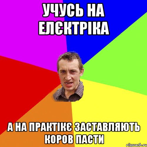 учусь на елєктріка а на практікє заставляють коров пасти, Мем Чоткий паца