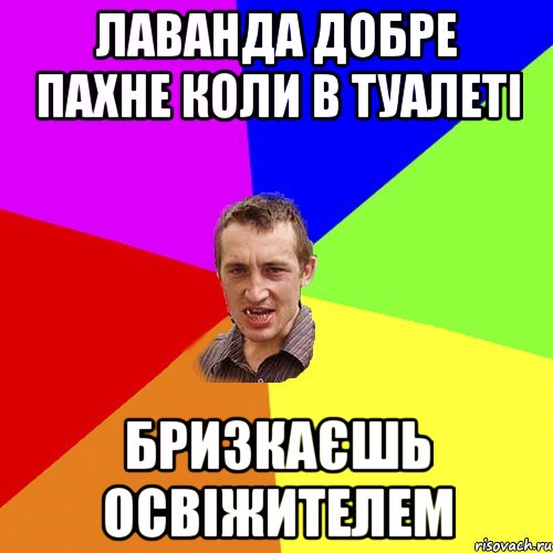 Лаванда добре пахне коли в туалеті бризкаєшь освіжителем, Мем Чоткий паца