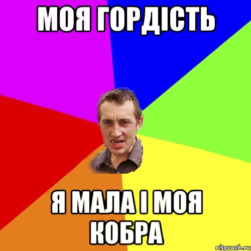 моя гордість я мала і моя кобра, Мем Чоткий паца