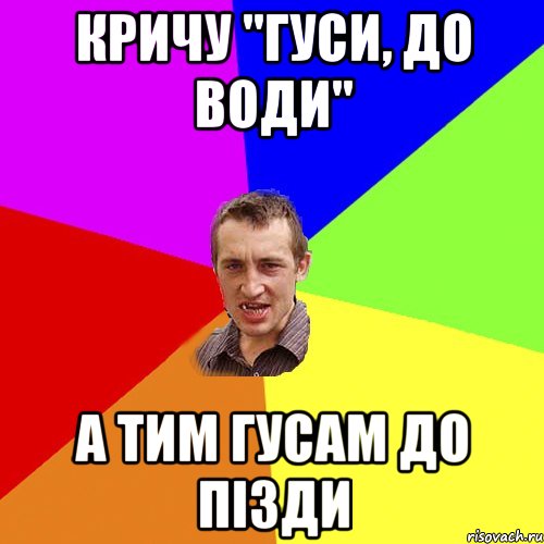 кричу "гуси, до води" а тим гусам до пізди, Мем Чоткий паца