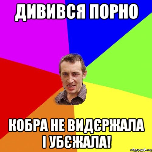 дивився порно кобра не видєржала і убєжала!, Мем Чоткий паца