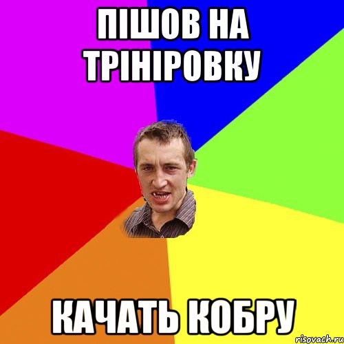 пішов на трініровку качать кобру, Мем Чоткий паца