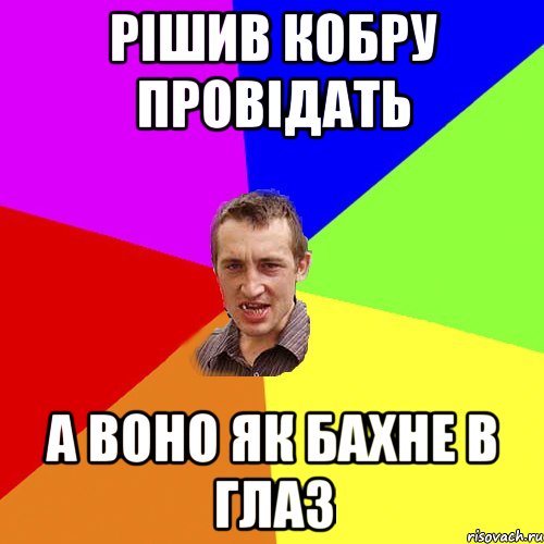 рішив кобру провідать а воно як бахне в глаз, Мем Чоткий паца