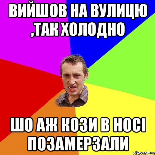 вийшов на вулицю ,так холодно шо аж кози в носі позамерзали, Мем Чоткий паца