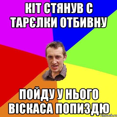 кіт стянув с тарєлки отбивну пойду у нього віскаса попиздю, Мем Чоткий паца