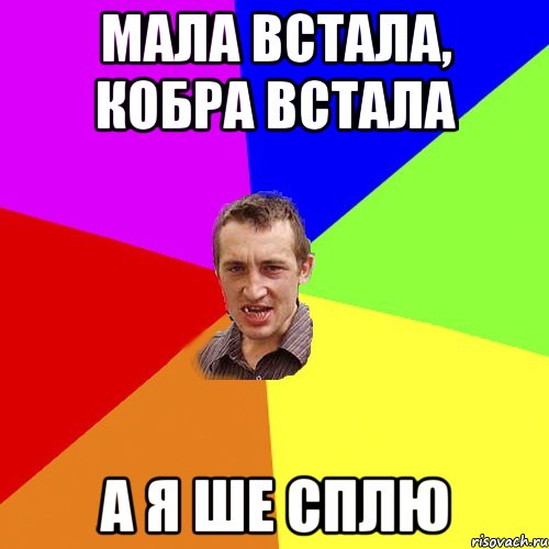 мала встала, кобра встала а я ше сплю, Мем Чоткий паца