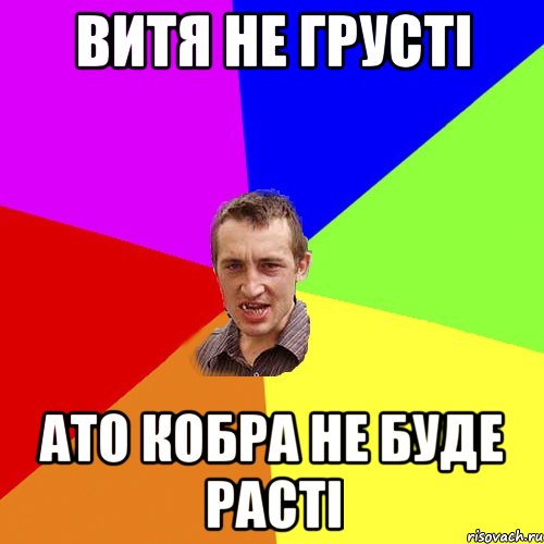 ВИТЯ НЕ ГРУСТІ АТО КОБРА НЕ БУДЕ РАСТІ, Мем Чоткий паца