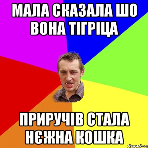 мала сказала шо вона тігріца приручів стала нєжна кошка, Мем Чоткий паца
