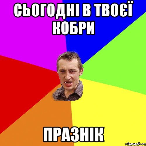 сьогодні в твоєї кобри празнік, Мем Чоткий паца