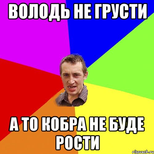 Володь не грусти а то кобра не буде рости, Мем Чоткий паца