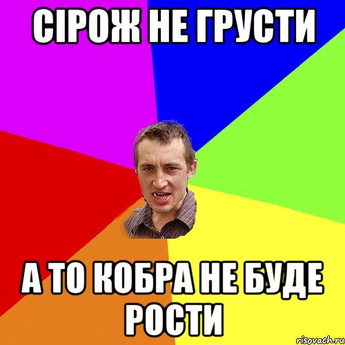 Сірож не грусти а то кобра не буде рости, Мем Чоткий паца