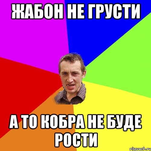 Жабон не грусти А то кобра не буде рости, Мем Чоткий паца
