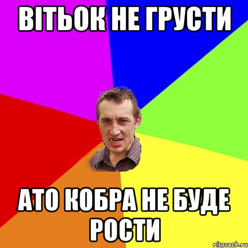 ВІТЬОК НЕ ГРУСТИ АТО КОБРА НЕ БУДЕ РОСТИ, Мем Чоткий паца