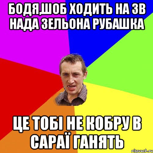 Бодя,шоб ходить на зв нада зельона рубашка Це тобі не кобру в сараї ганять, Мем Чоткий паца