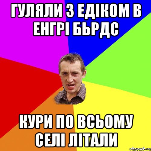 Гуляли з Едіком в Енгрі Бьрдс Кури по всьому селі літали, Мем Чоткий паца