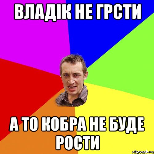 ВЛАДІК НЕ ГРСТИ А ТО КОБРА НЕ БУДЕ РОСТИ, Мем Чоткий паца