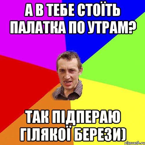 а в тебе стоїть палатка по утрам? так підпераю гілякої берези), Мем Чоткий паца