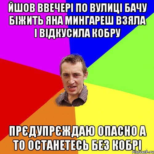 ЙШОВ ВВЕЧЕРІ ПО ВУЛИЦІ БАЧУ БІЖИТЬ ЯНА МИНГАРЕШ ВЗЯЛА І ВІДКУСИЛА КОБРУ ПРЄДУПРЄЖДАЮ ОПАСНО А ТО ОСТАНЕТЕСЬ БЕЗ КОБРІ, Мем Чоткий паца