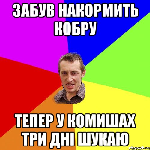 Забув накормить кобру тепер у комишах три дні шукаю, Мем Чоткий паца