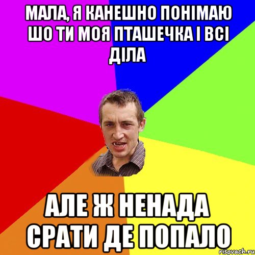 мала, я канешно понімаю шо ти моя пташечка і всі діла але ж ненада срати де попало, Мем Чоткий паца