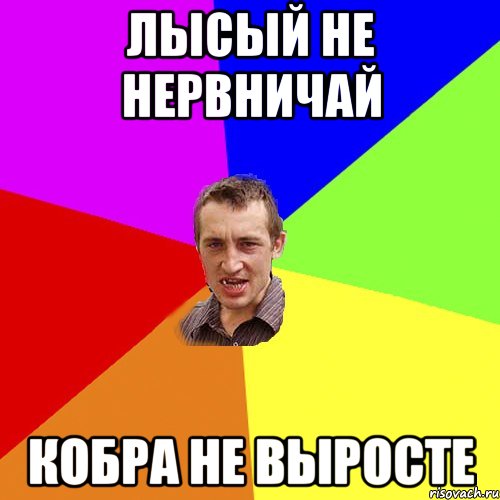 лысый не нервничай кобра не выросте, Мем Чоткий паца