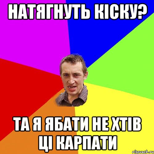 Натягнуть кіску? Та я ябати не хтів ці карпати, Мем Чоткий паца