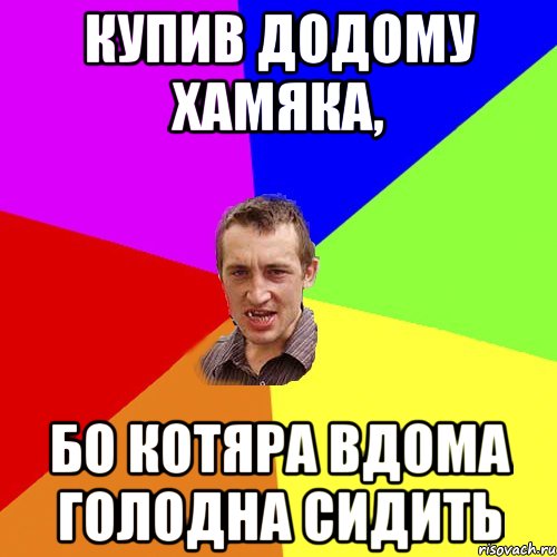 КУПИВ ДОДОМУ ХАМЯКА, БО КОТЯРА ВДОМА ГОЛОДНА СИДИТЬ, Мем Чоткий паца