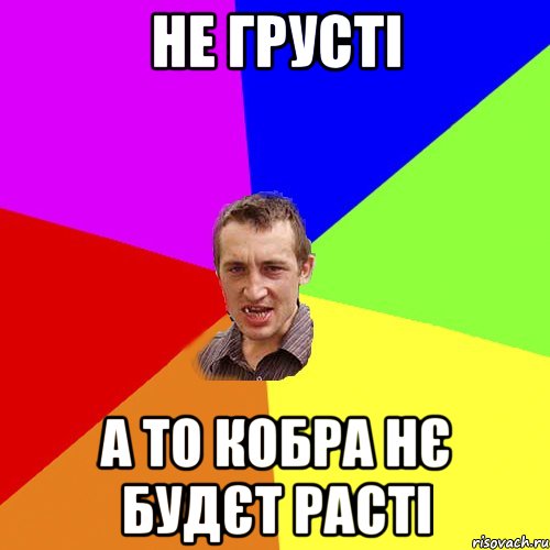не грусті а то кобра нє будєт расті, Мем Чоткий паца