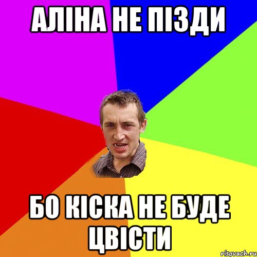 аліна не пізди бо кіска не буде цвісти, Мем Чоткий паца